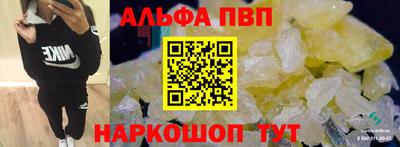 гидра Ставрополь