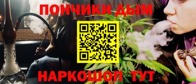 гидра Ставрополь