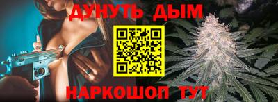 гидра Ставрополь