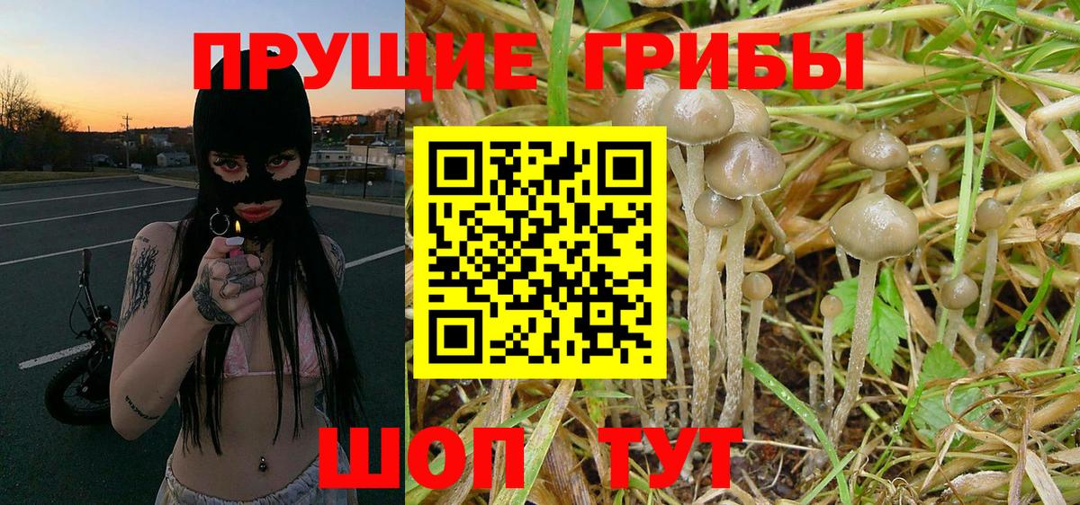 MDMA  Новозыбков  ГАШ  Cocaine  Вход с VPN  Бошки Шишки  МЕТ  Мефедрон кристаллы  ГАШ 