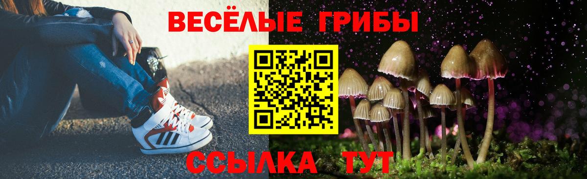 Псилоцибиновые грибы Cubensis  Галлюциногенные грибы мухоморы  Вход с VPN  Новозыбков 